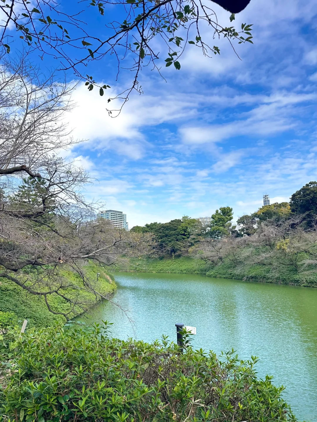 🇯🇵听说老钱家里都不用开灯 看来是真的…