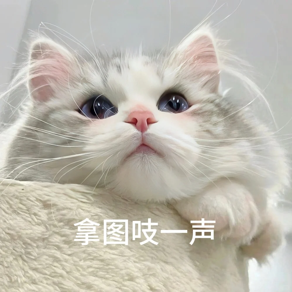 高质量甜妹