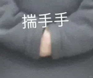 乘风2024