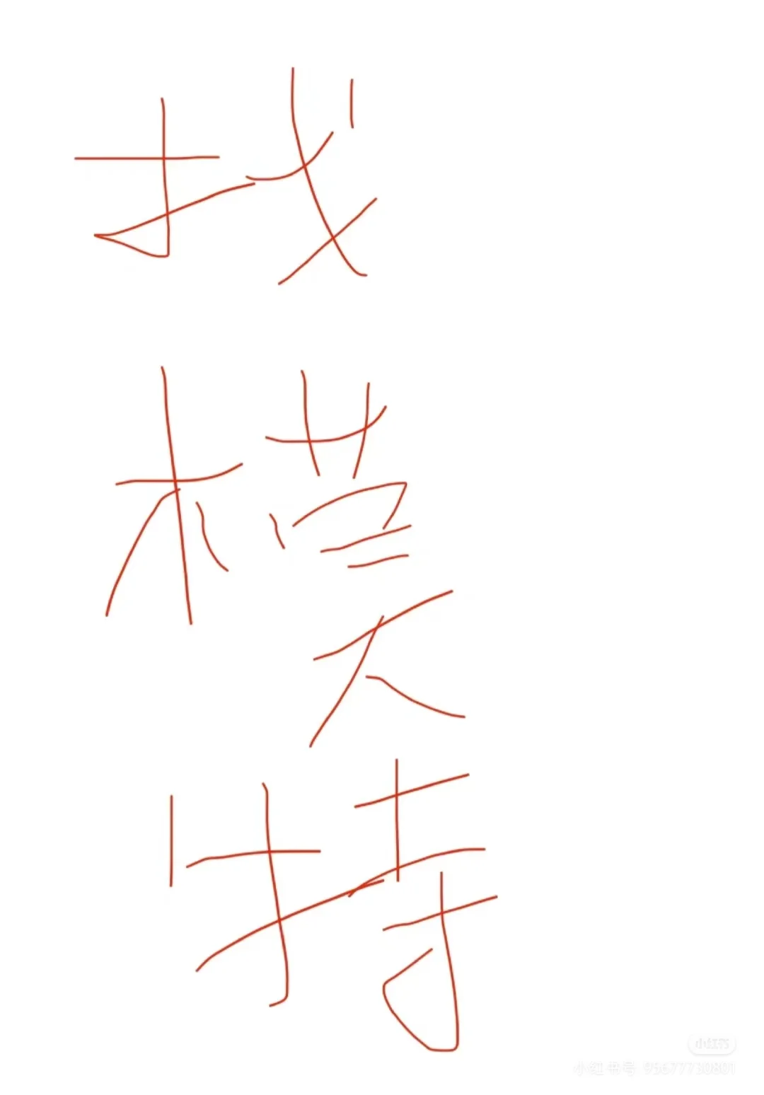 成都模特 接受0基础小白