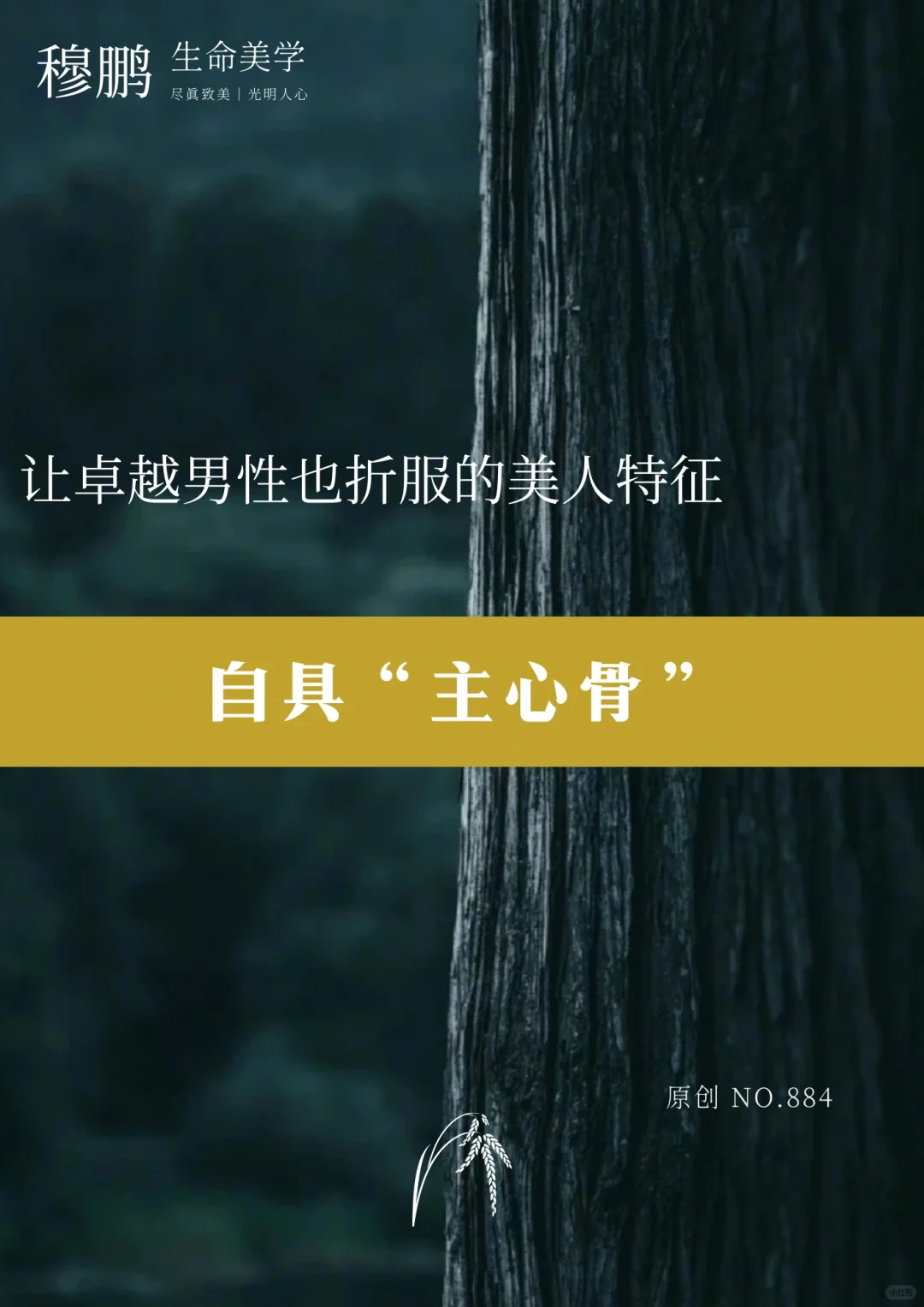 顶尖美人，自具主心骨