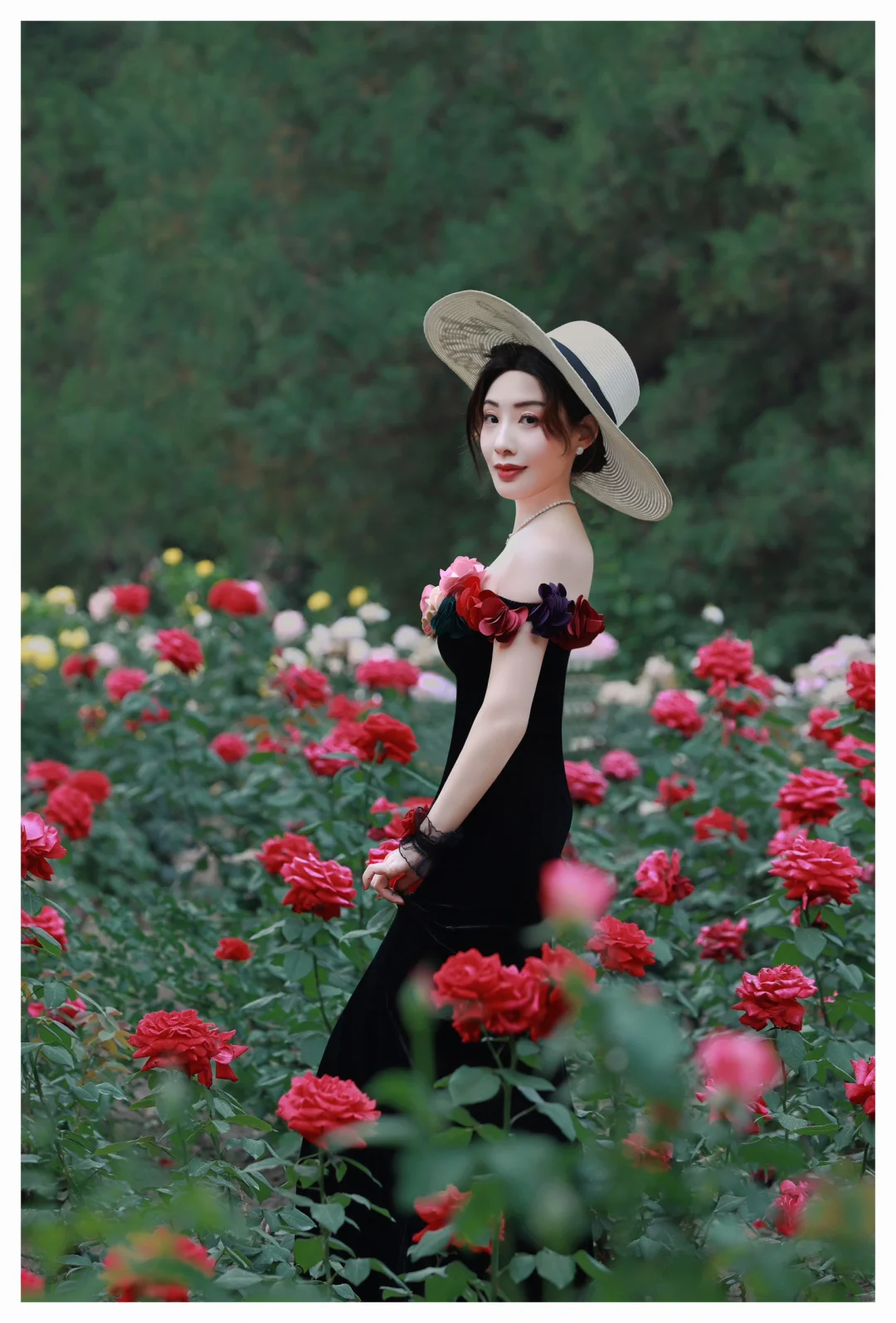 蔷薇花海走来的女孩
