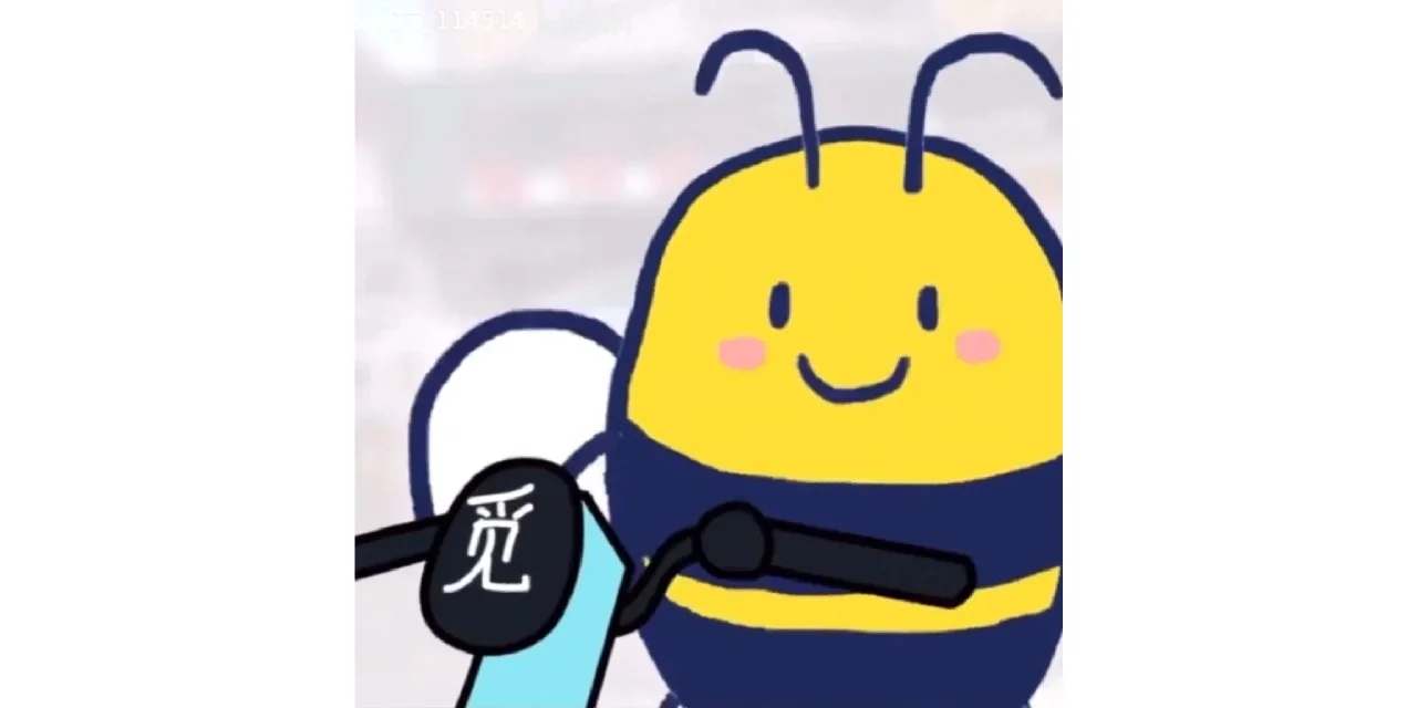 给你一个大bee兜