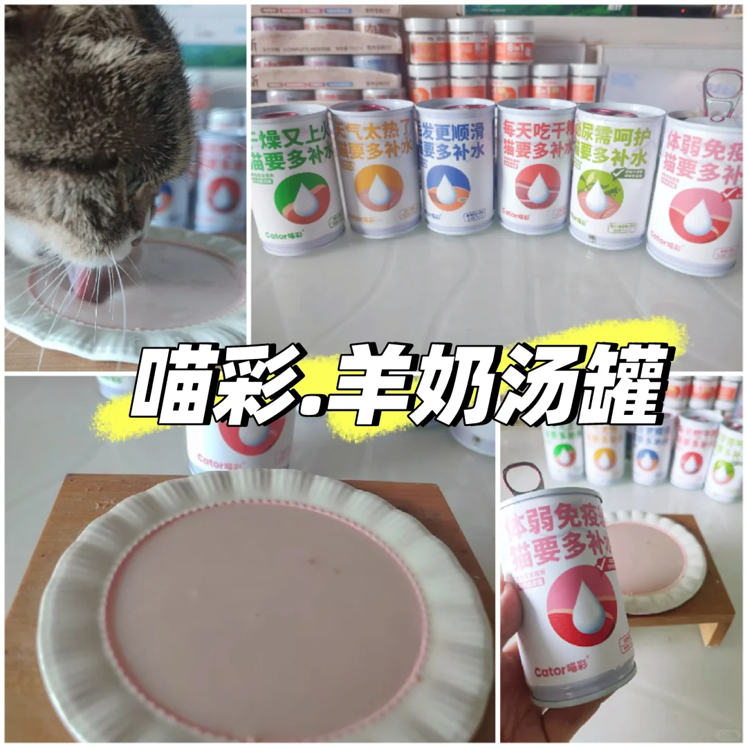 喵彩·羊奶汤罐 | 猫咪的“补水盛宴”