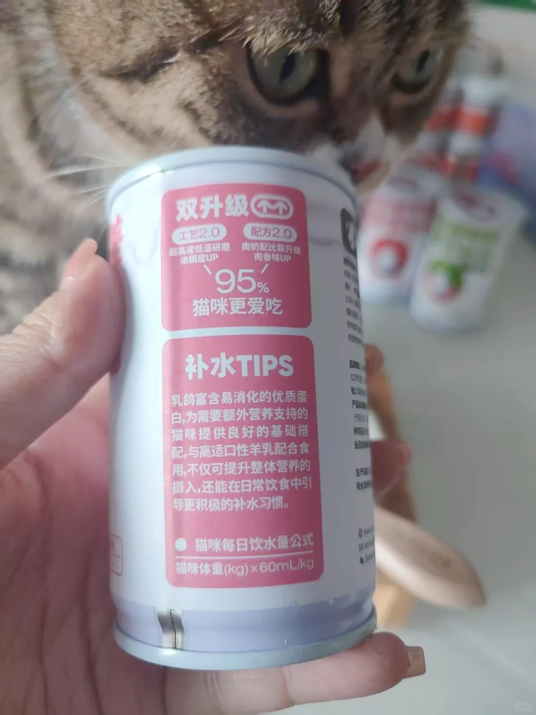喵彩·羊奶汤罐 | 猫咪的“补水盛宴”