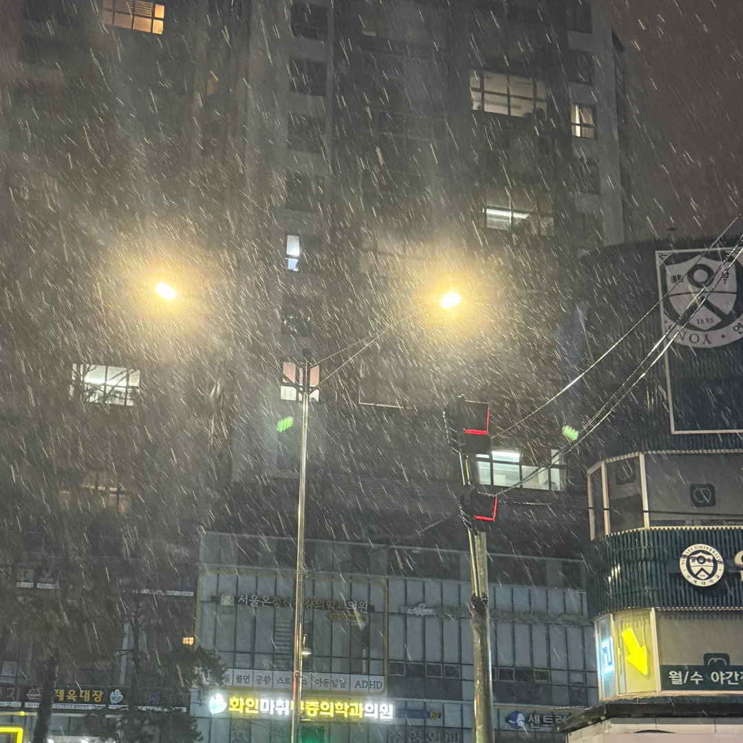SEOUL?️｜补药放过这个小众Kodak人生四格啊