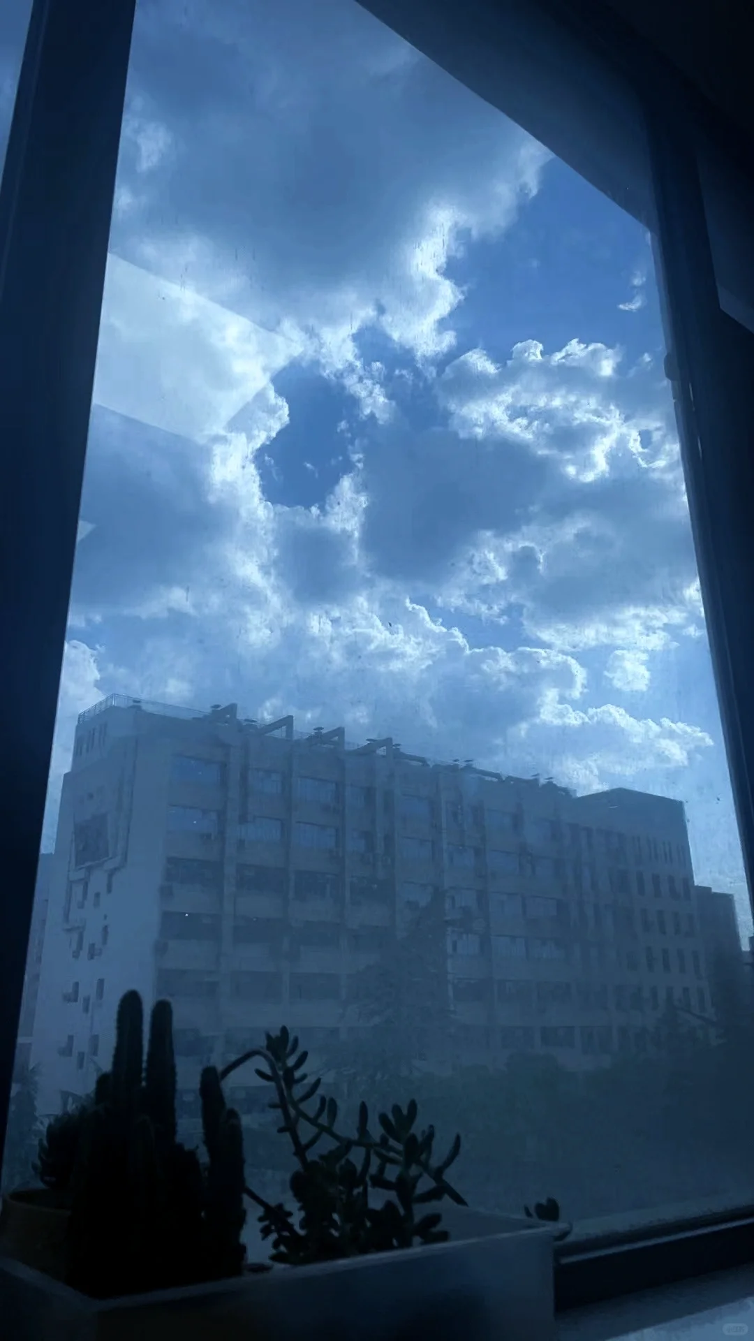 6.19丨时而晴时而阴