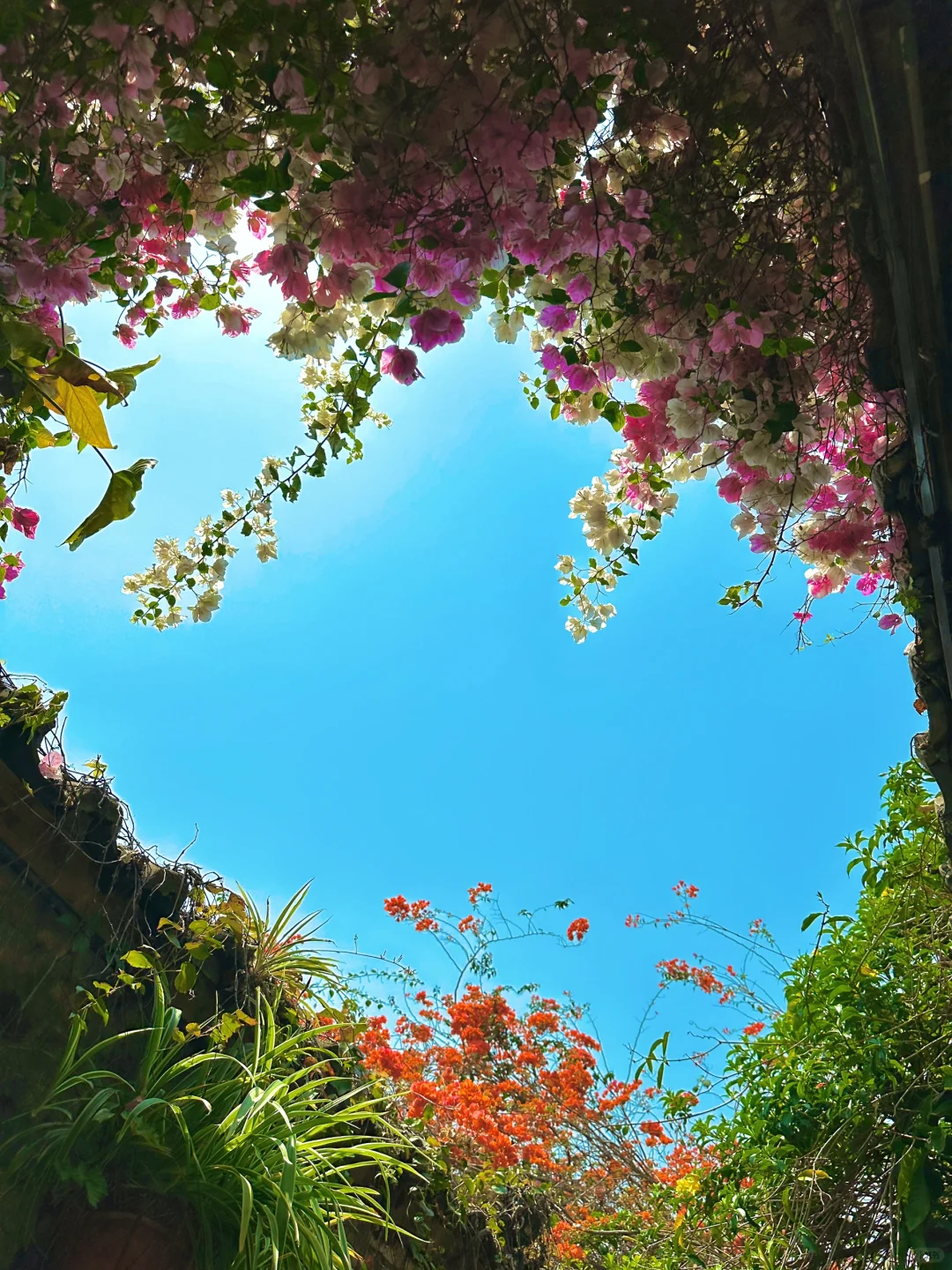 越长大越喜欢大自然的气息🌿