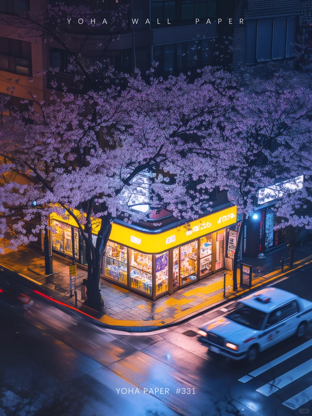 深夜Sakura街景/高级感壁纸