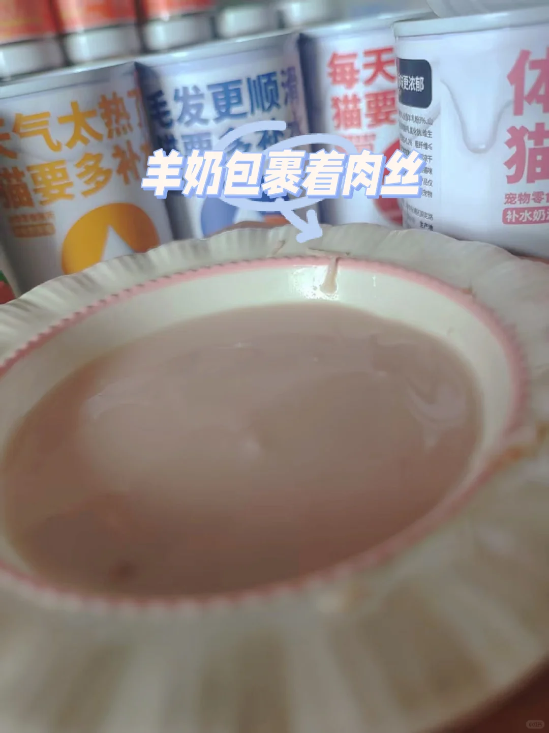 喵彩·羊奶汤罐 | 猫咪的“补水盛宴”