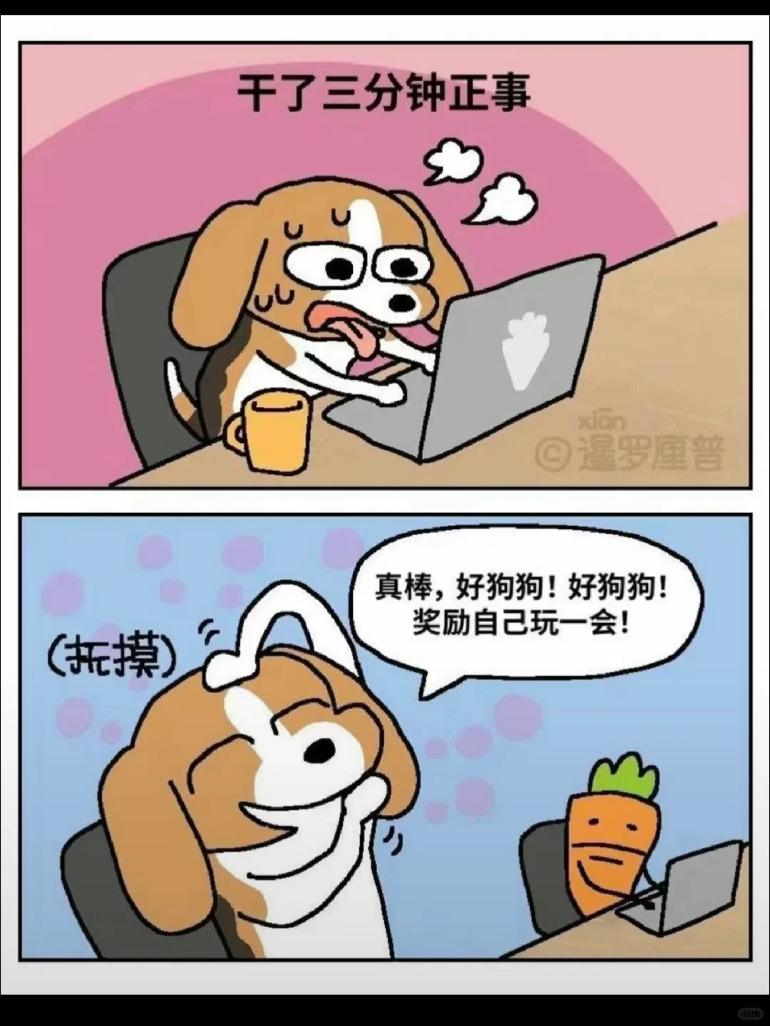 在全女公司工作，就是每天都很快乐！