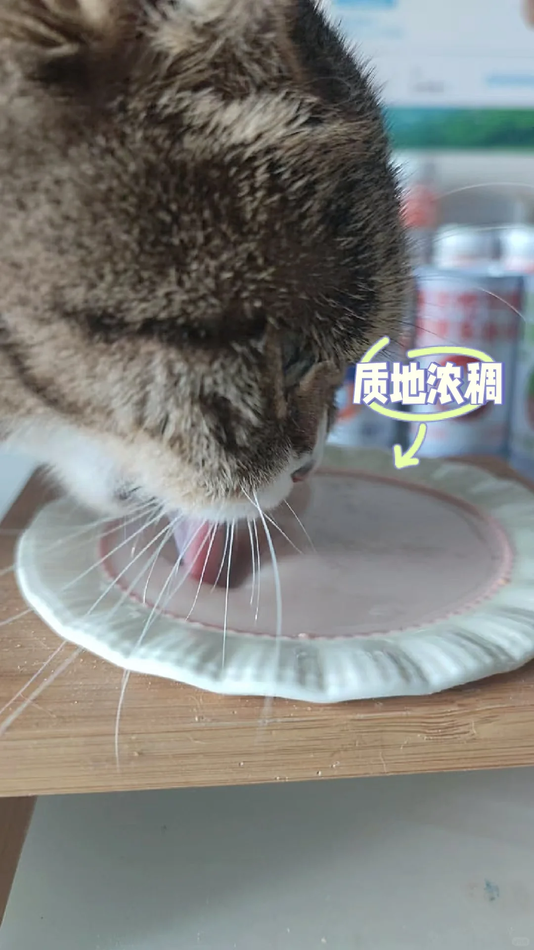 喵彩·羊奶汤罐 | 猫咪的“补水盛宴”