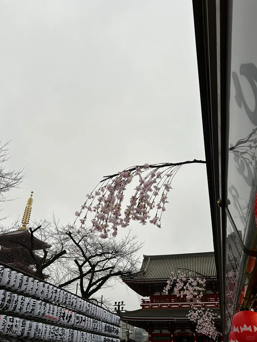 浅草寺に雪が降っています