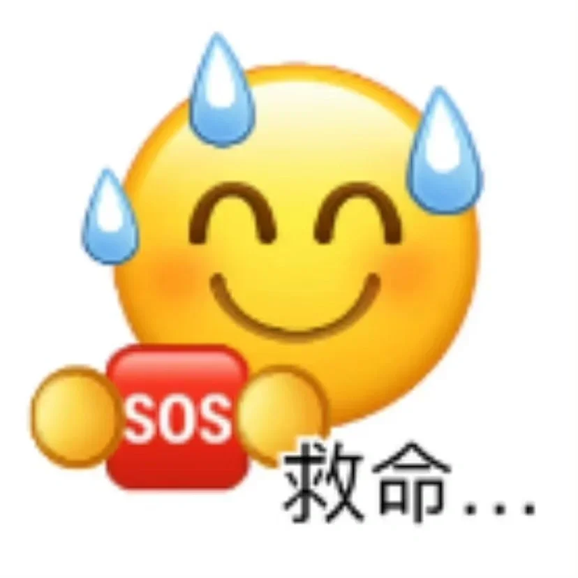 路觅教育的留学辅导怎么样啊？