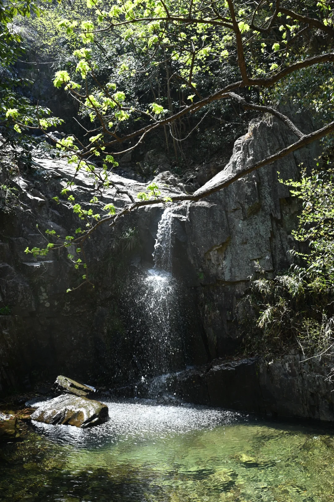 Hiking Sunday ⛰️·.☀️