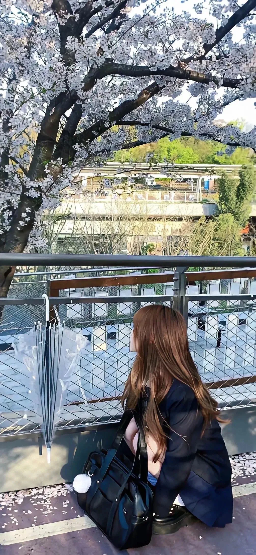小众氛围感🌸美女壁纸📷