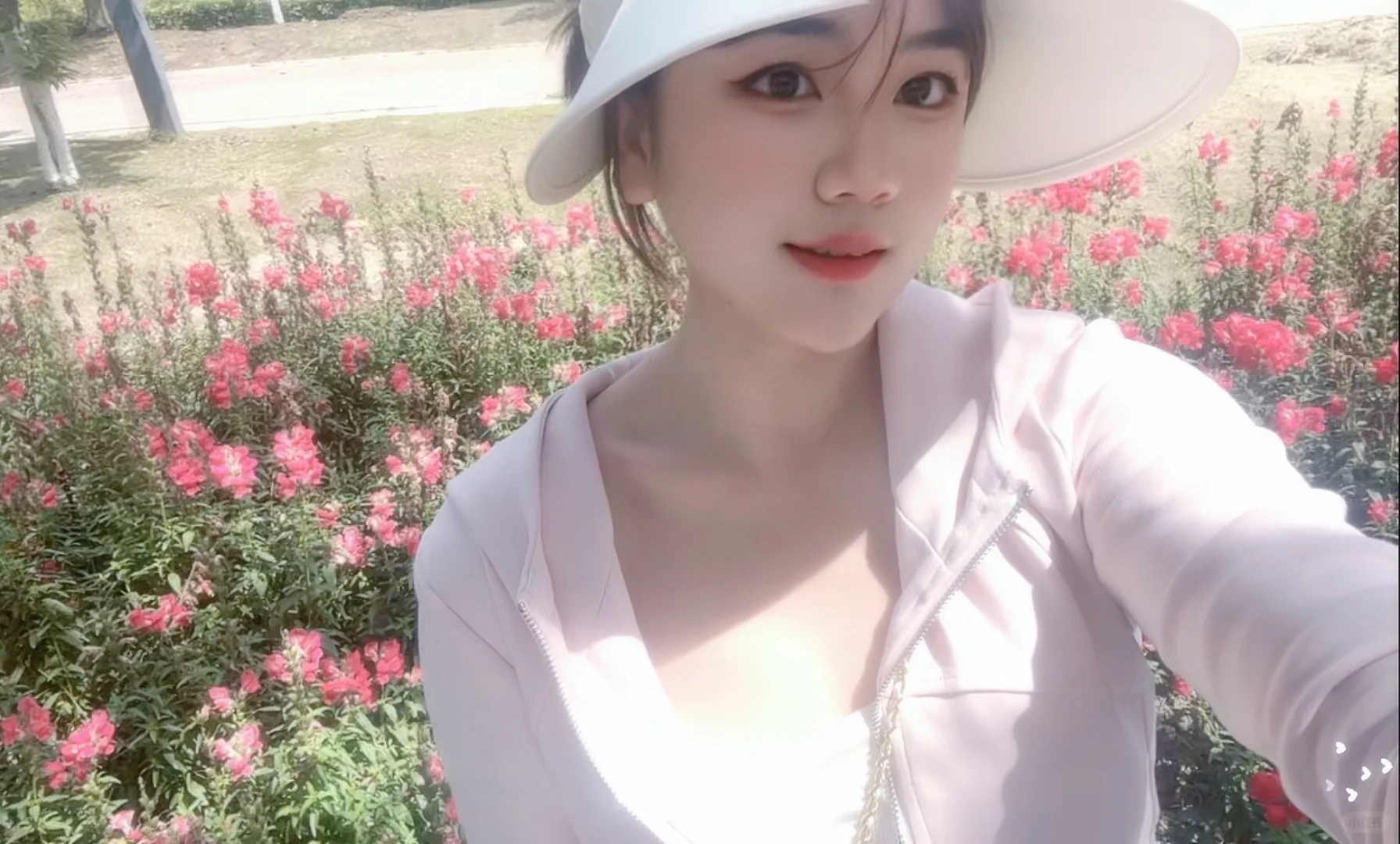 今天拍了美美的照片