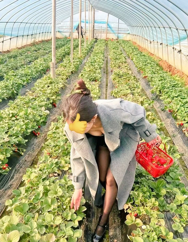 朋友圈里不敢发 总要在网上发发的吧
