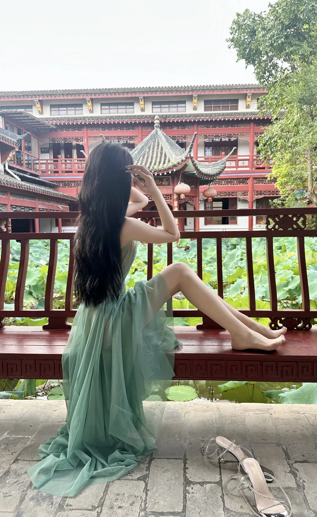 夏天的荷花开啦🪷