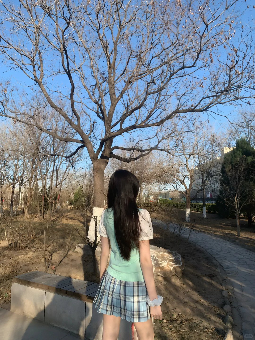 178 04女