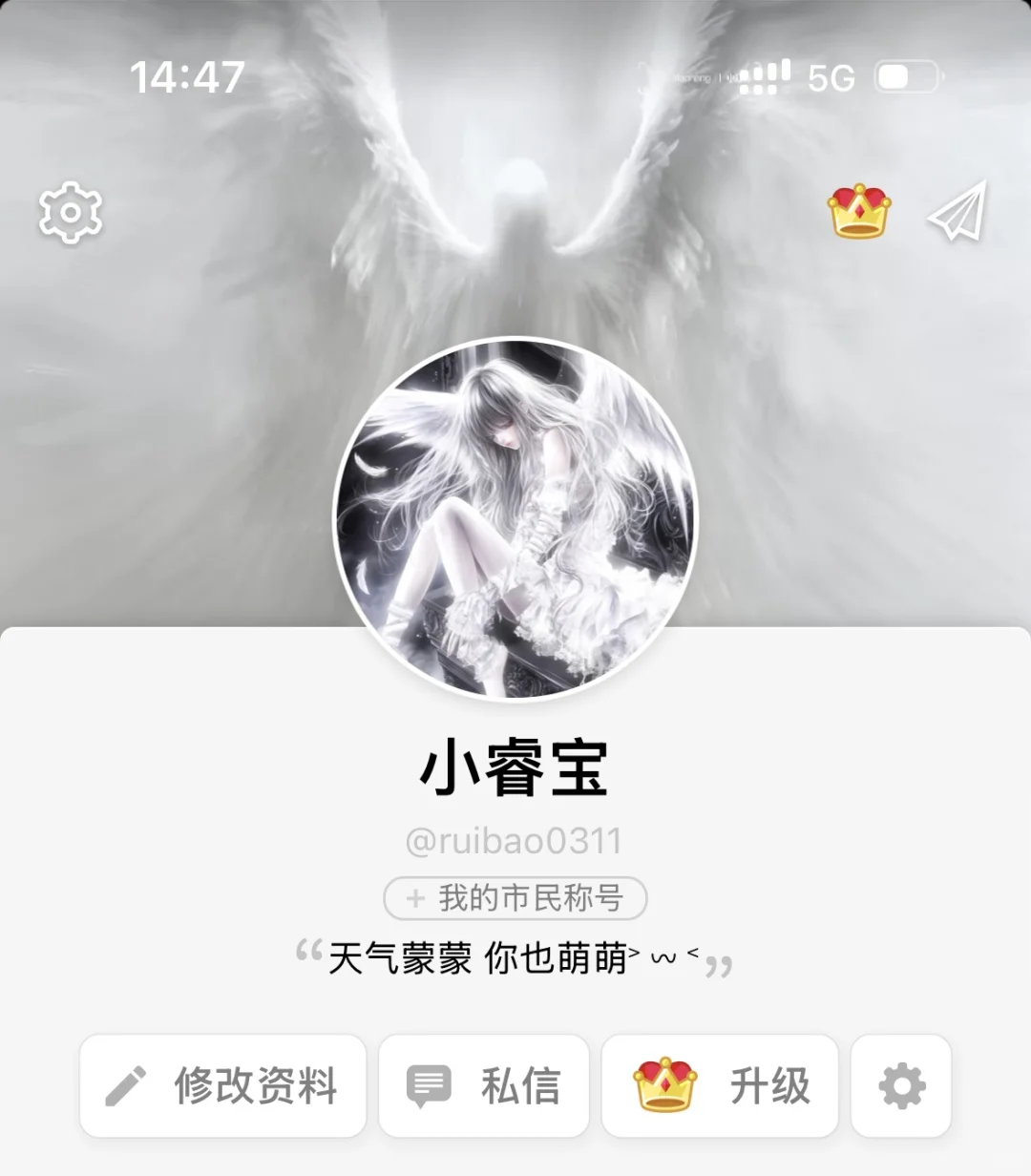 ꒰ఎ天使降臨໒꒱ ˚⁎