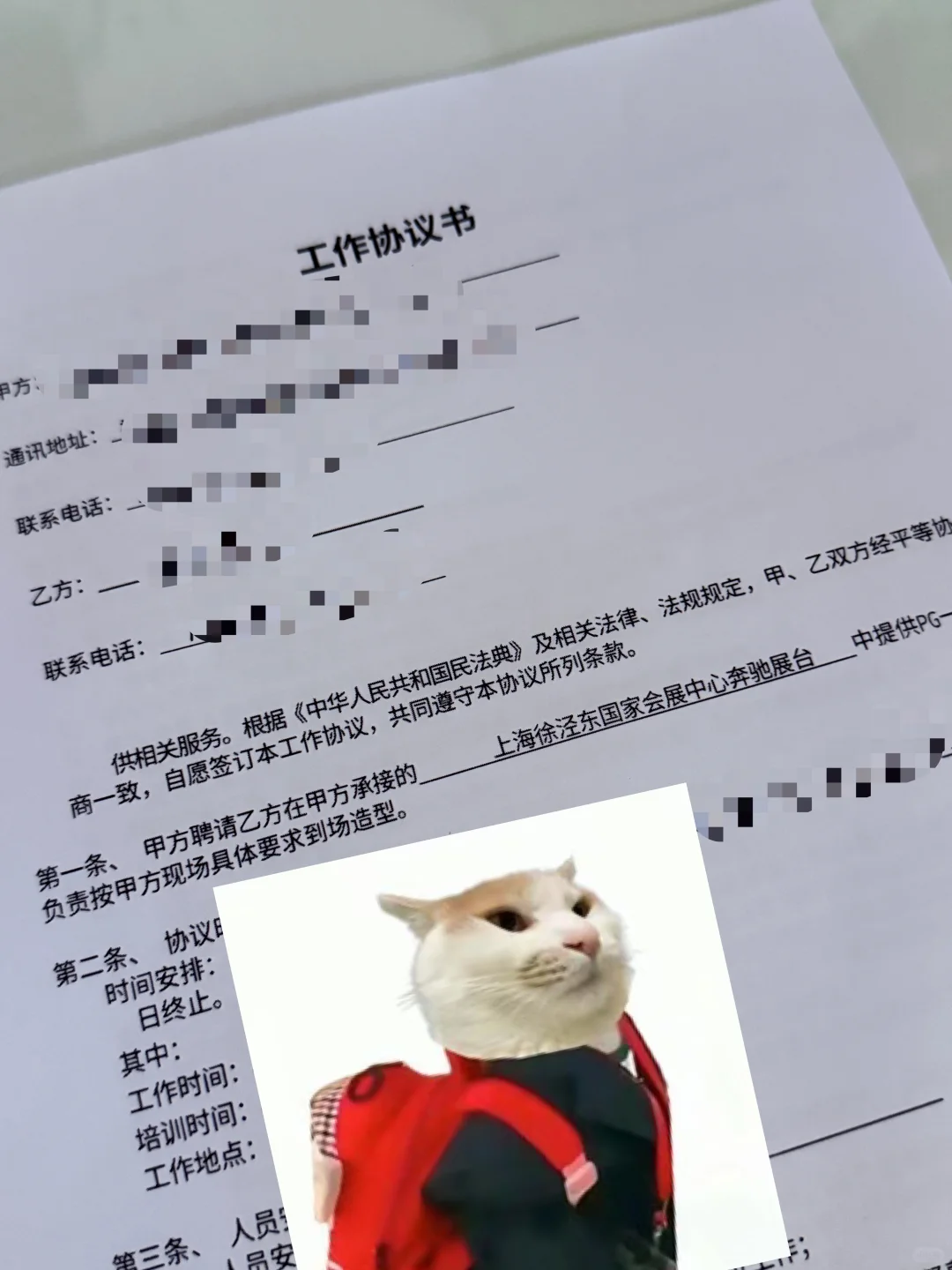 07女高中生参加车展面试的一天