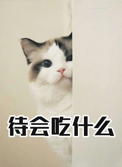 从"好女不过百"到"姐要健康美"