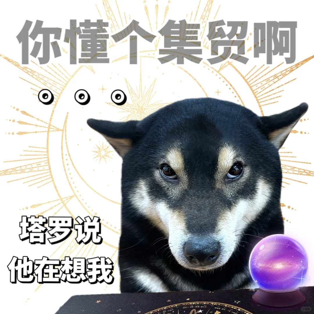表情包|我有我的节奏😌