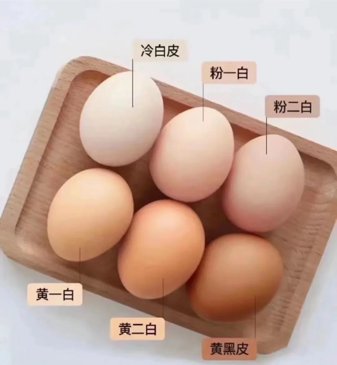 冷白皮我悟了！