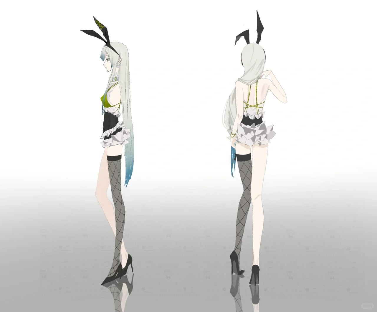🐰v女郎🐰