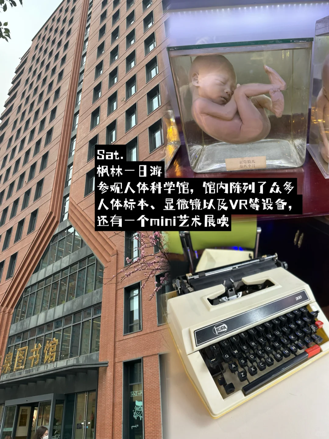 哲小鹰plog3|复旦哲学生的一周