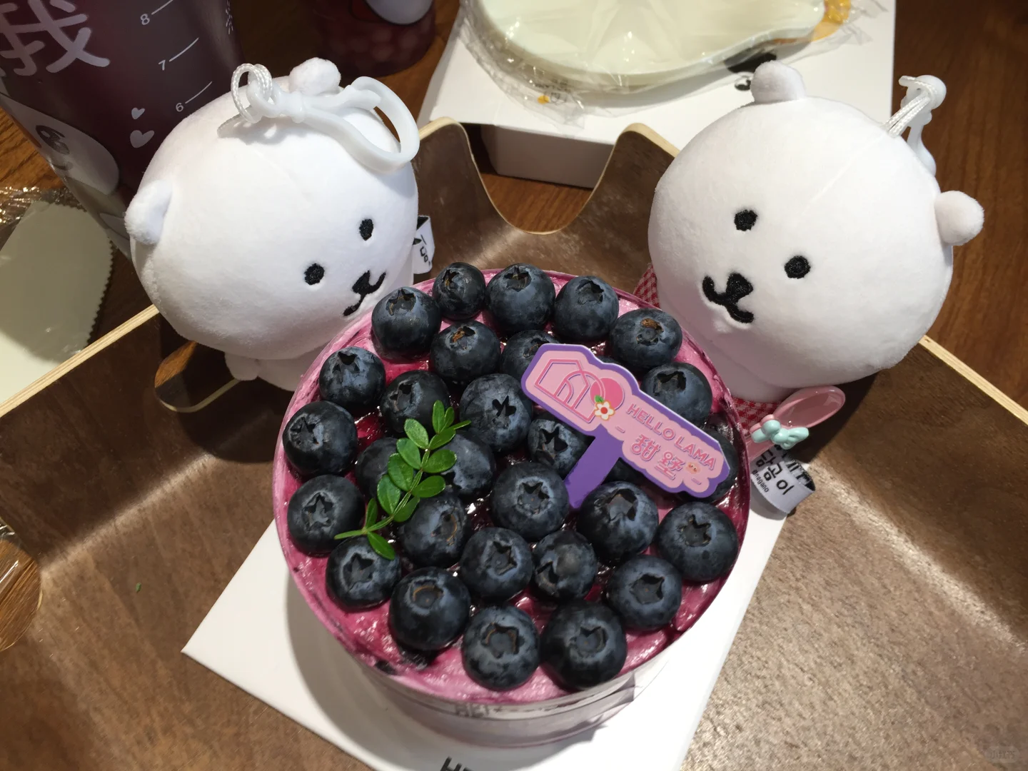 花見の季ヾ(´(ｴ)｀ﾉﾞ
