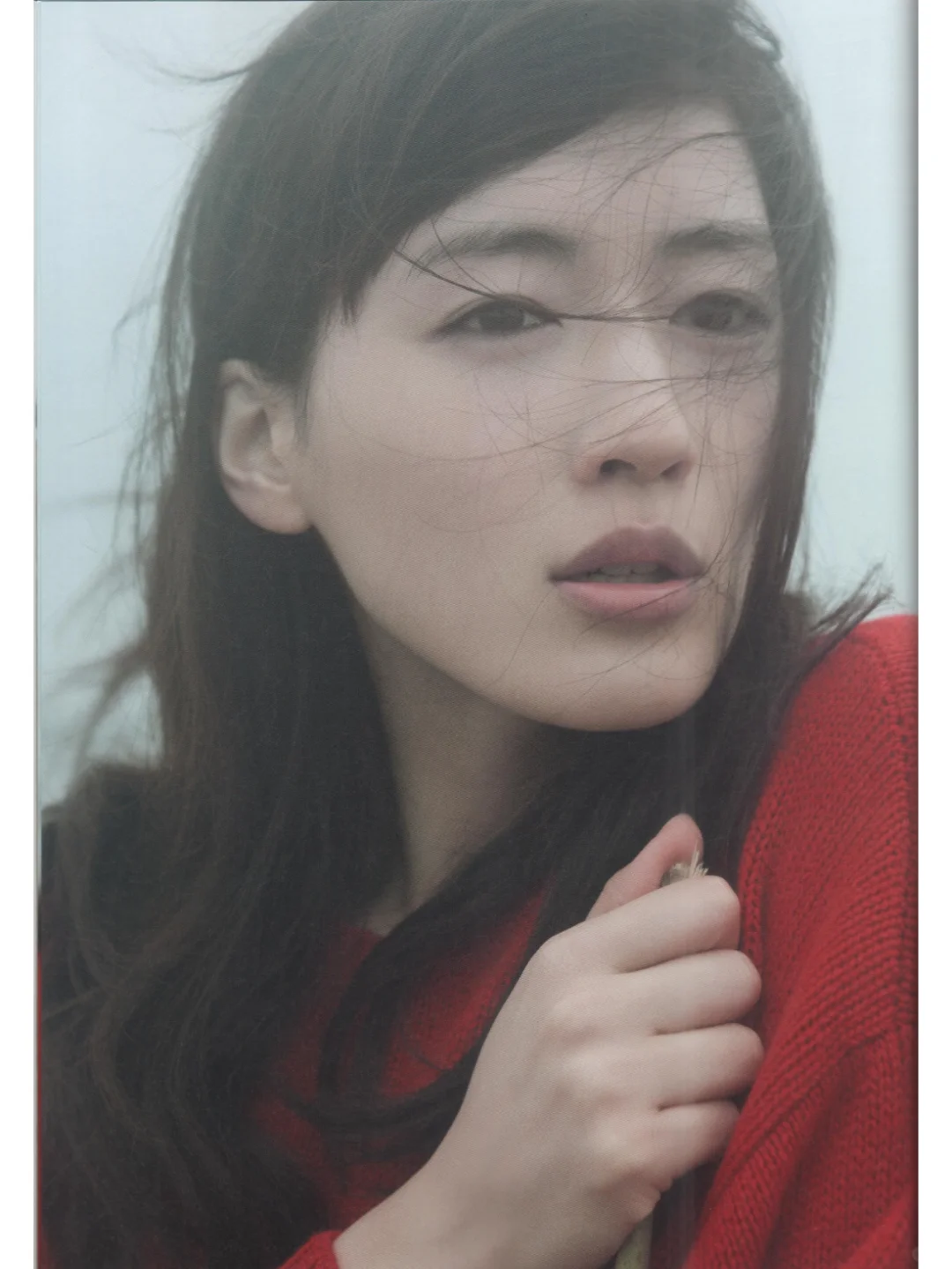 看画册，提升审美系列（二）「MOMENTO」
