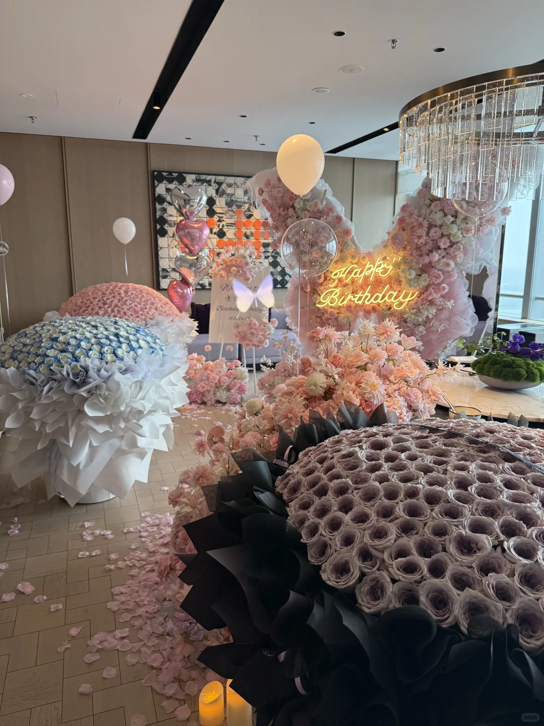 生日拍了一万张权威美照