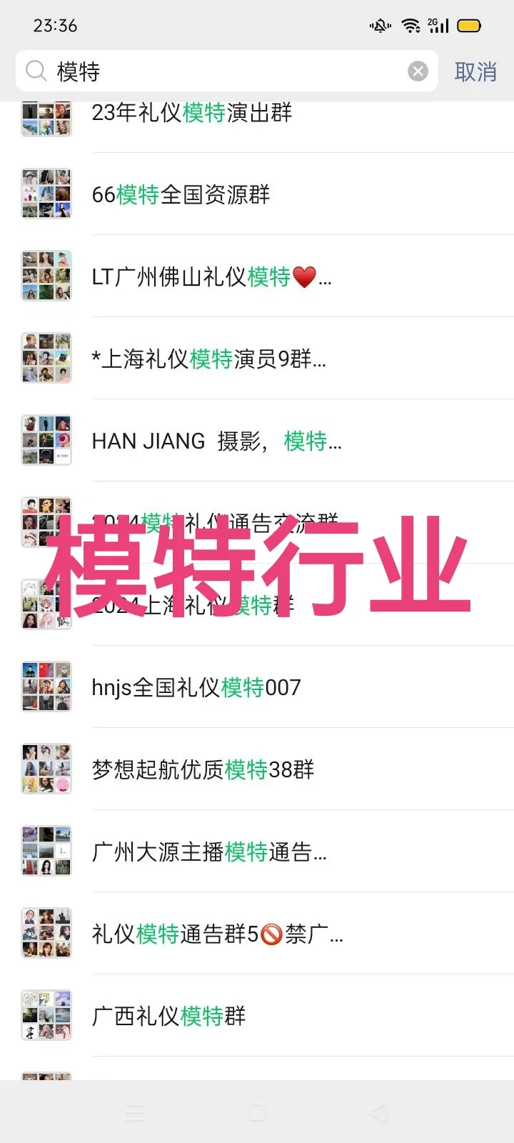 模特行业群