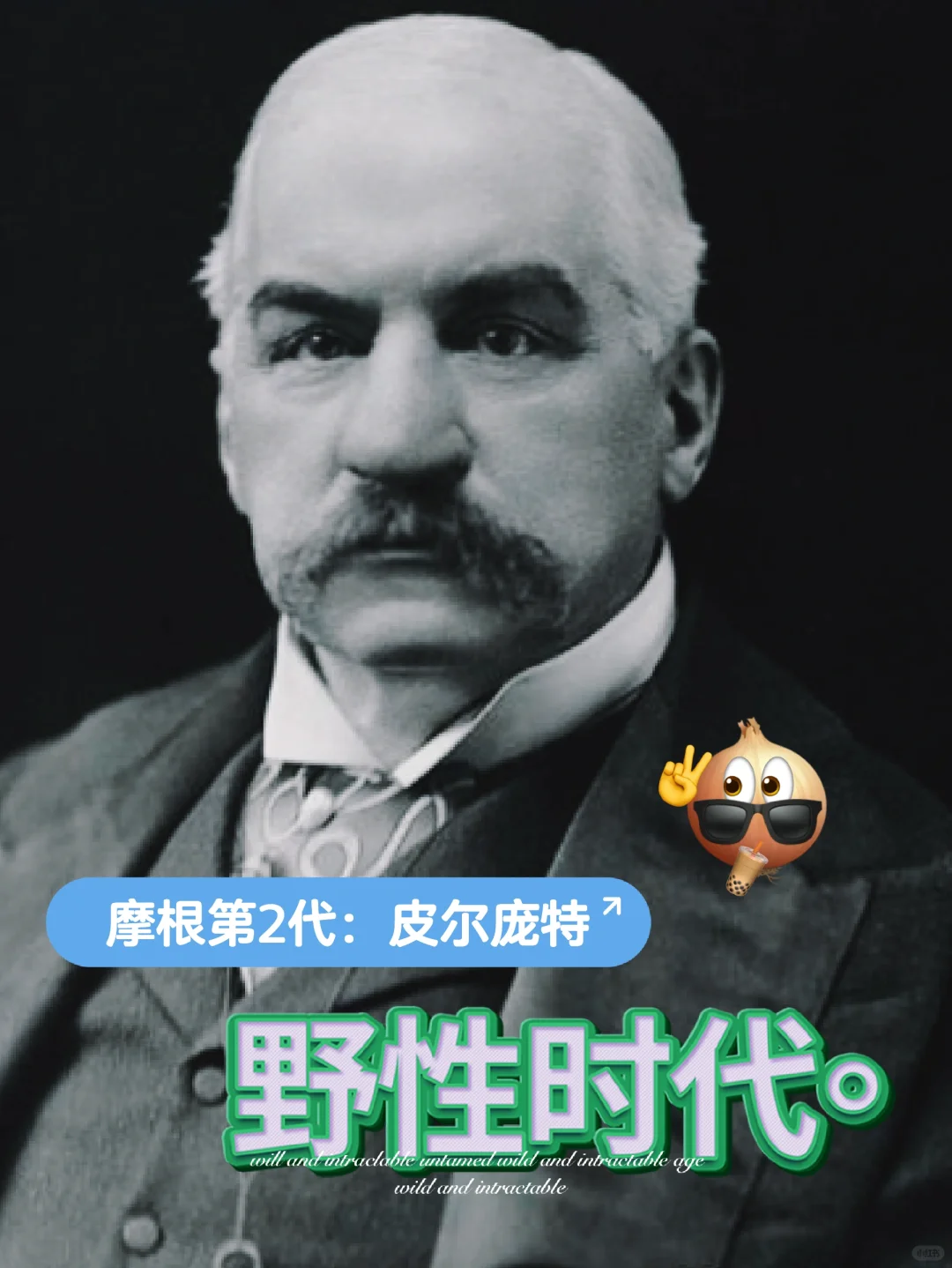 《摩根财团》3/皮尔庞特的时代