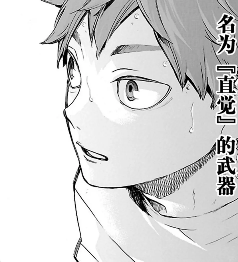原画日向就是很俊美啊