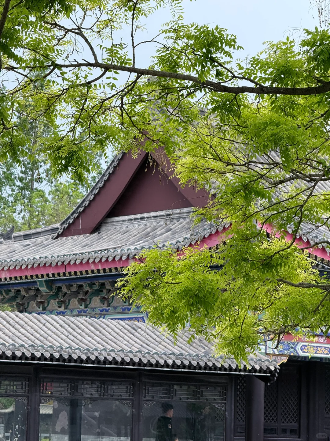 女摄影助理第46天🫠🫠