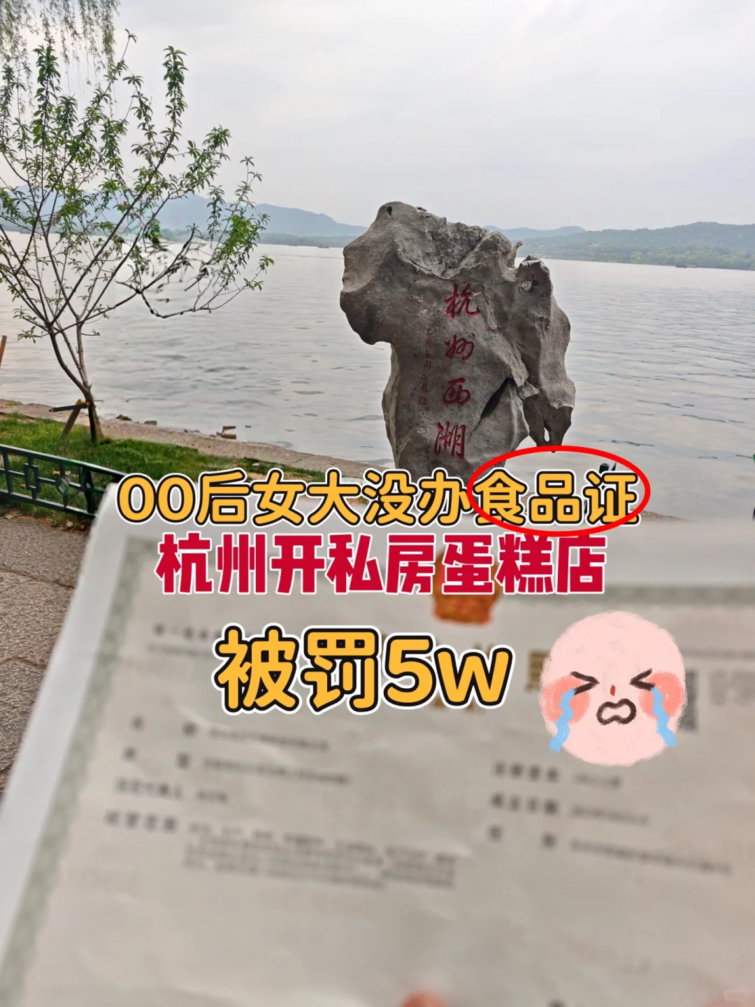 00后女大，忘办食品证😭杭州开私房蛋糕，结果