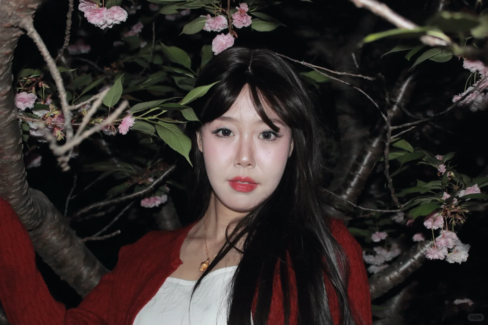 紫藤萝和海棠花
