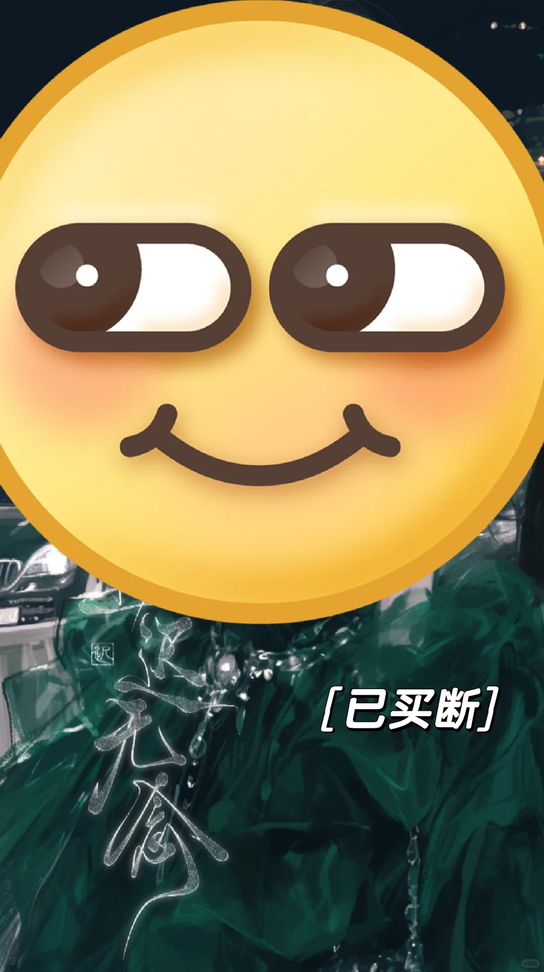 百花齐放的红毯现场～（剩前④，停售）