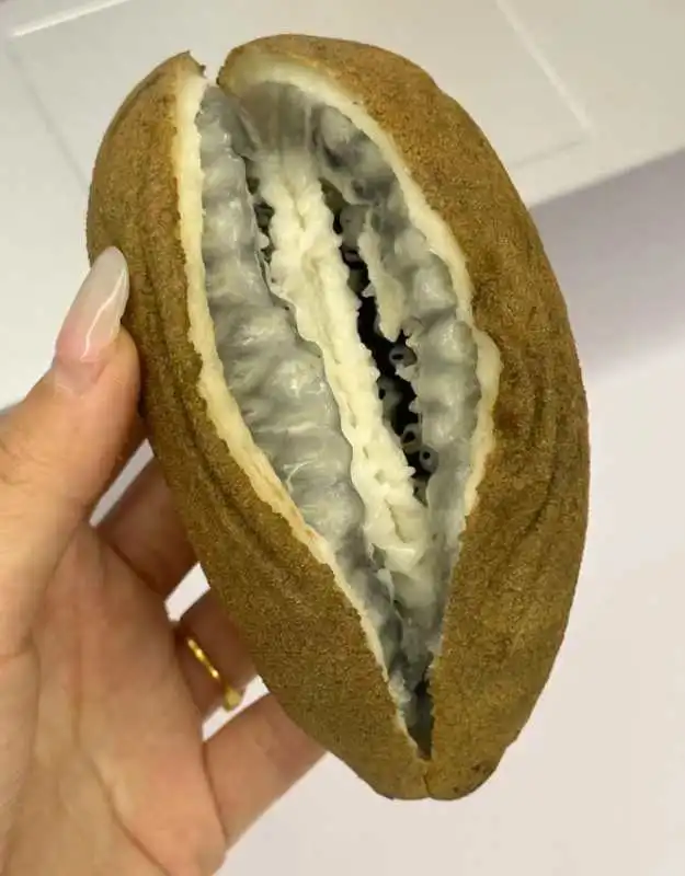 最近偷偷去干了一件大事！！！