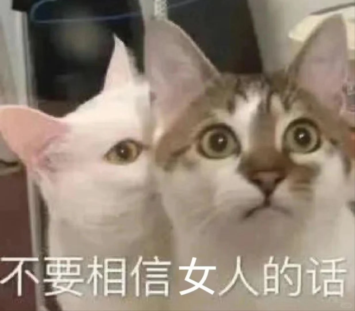 私房照能发这是可以的吗？