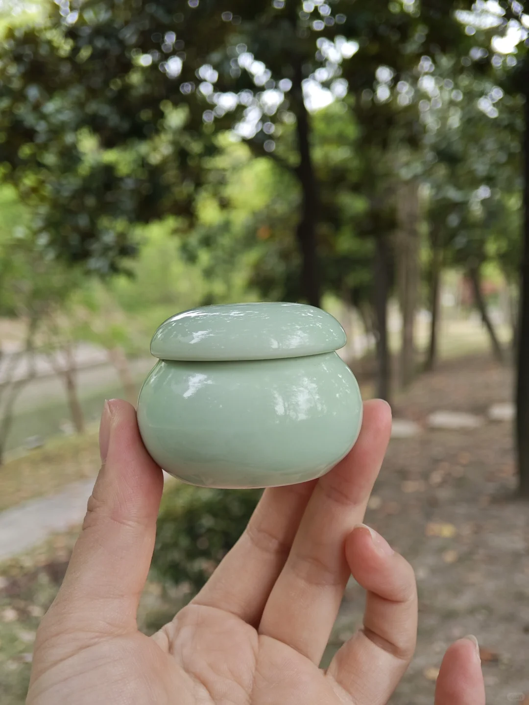 公园小记(^з^)
