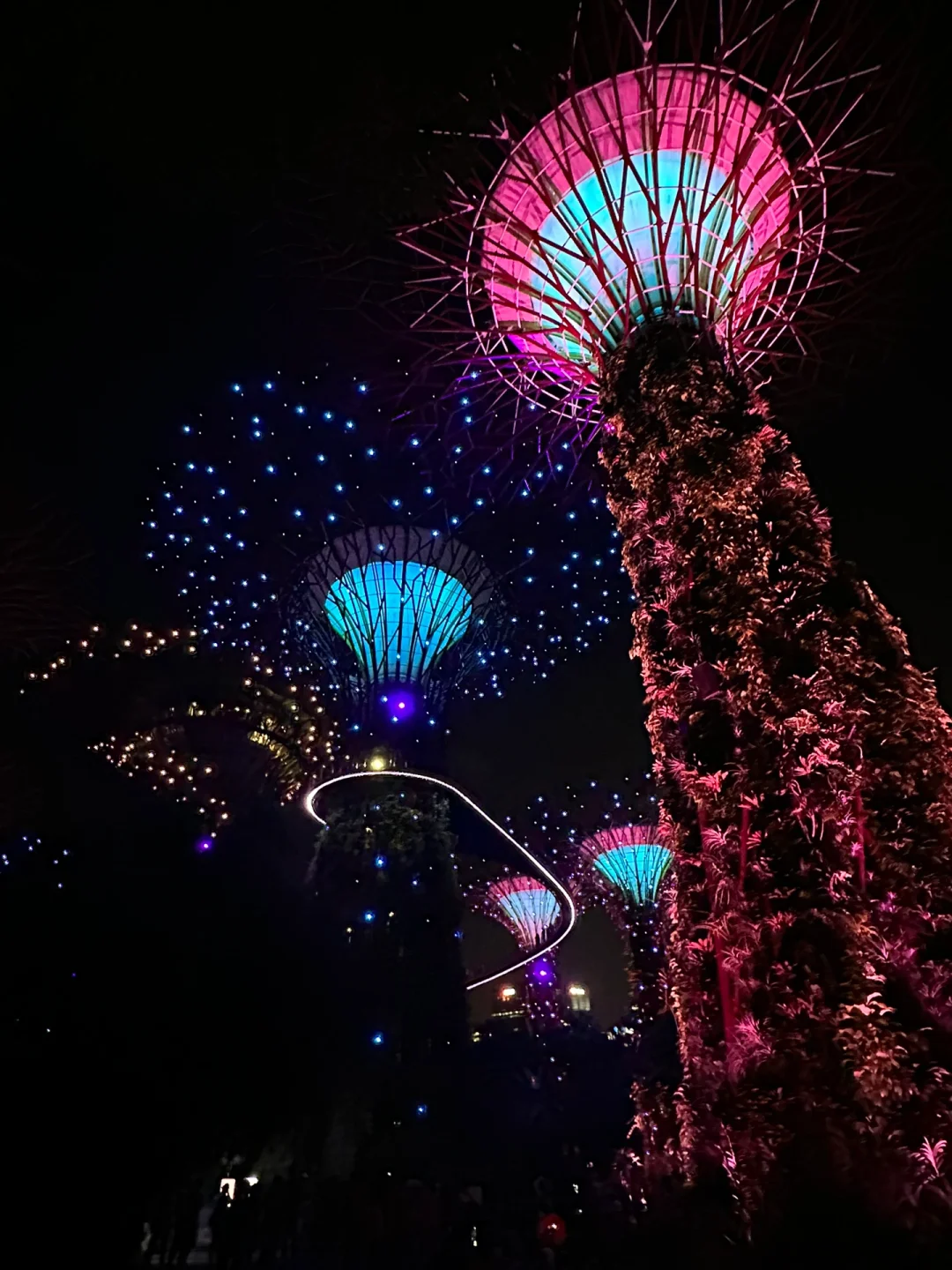 新加坡滨海湾花园，就这么玩👉
