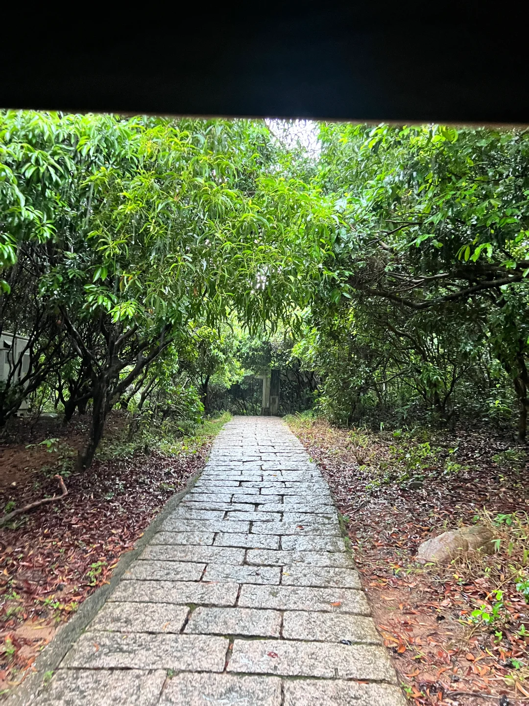 台风天～暴汗～‍♀️‍♀️