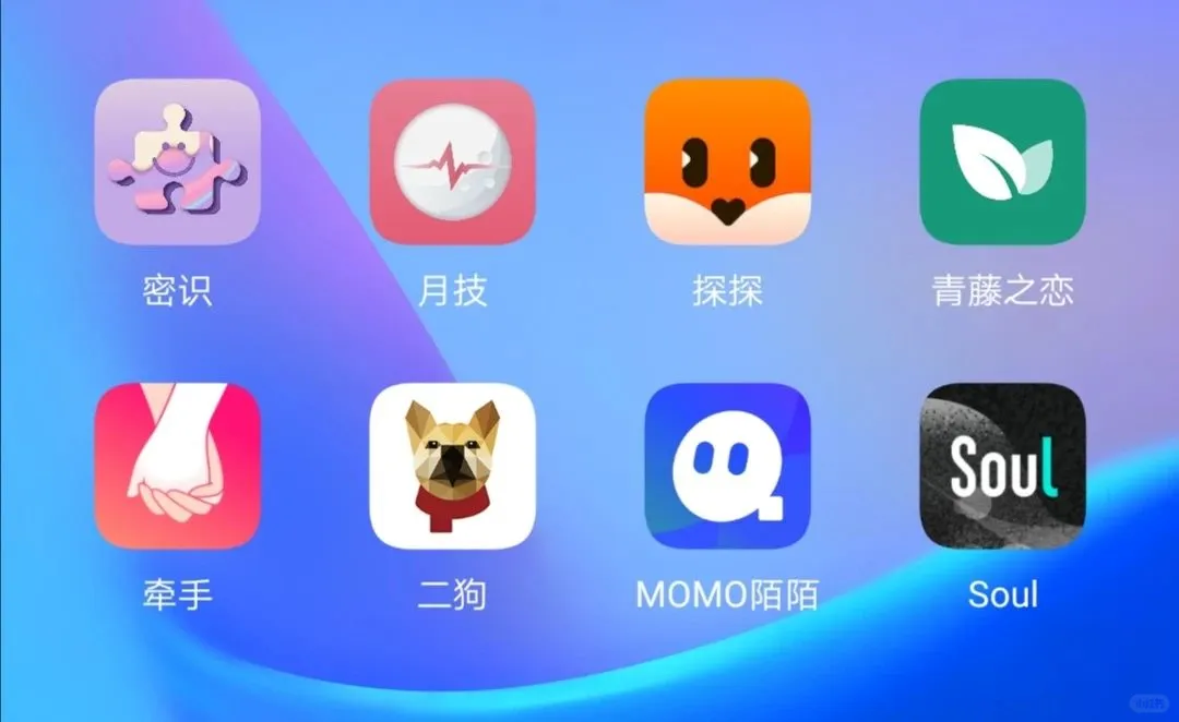 一句话总结热门交友app