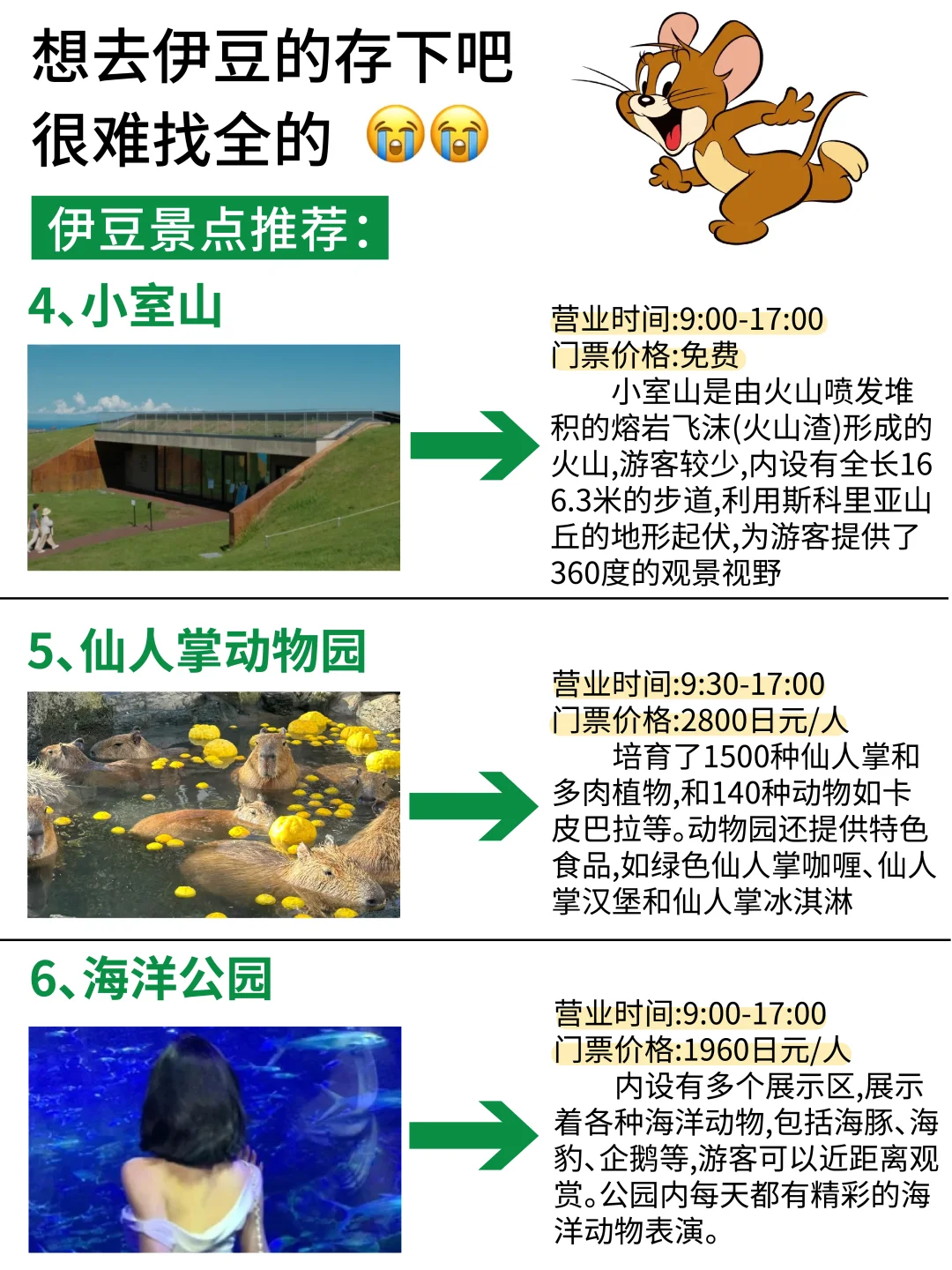 讲真的伊豆会惩罚每个不做攻略的人‼️
