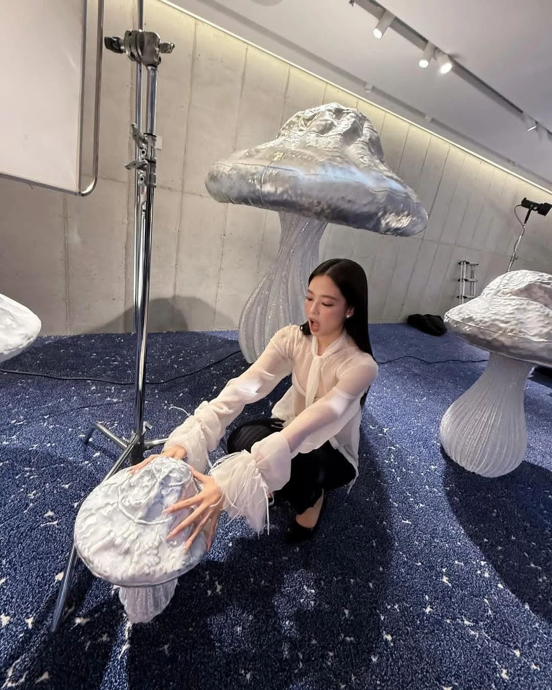 哦～泰美啦❤️