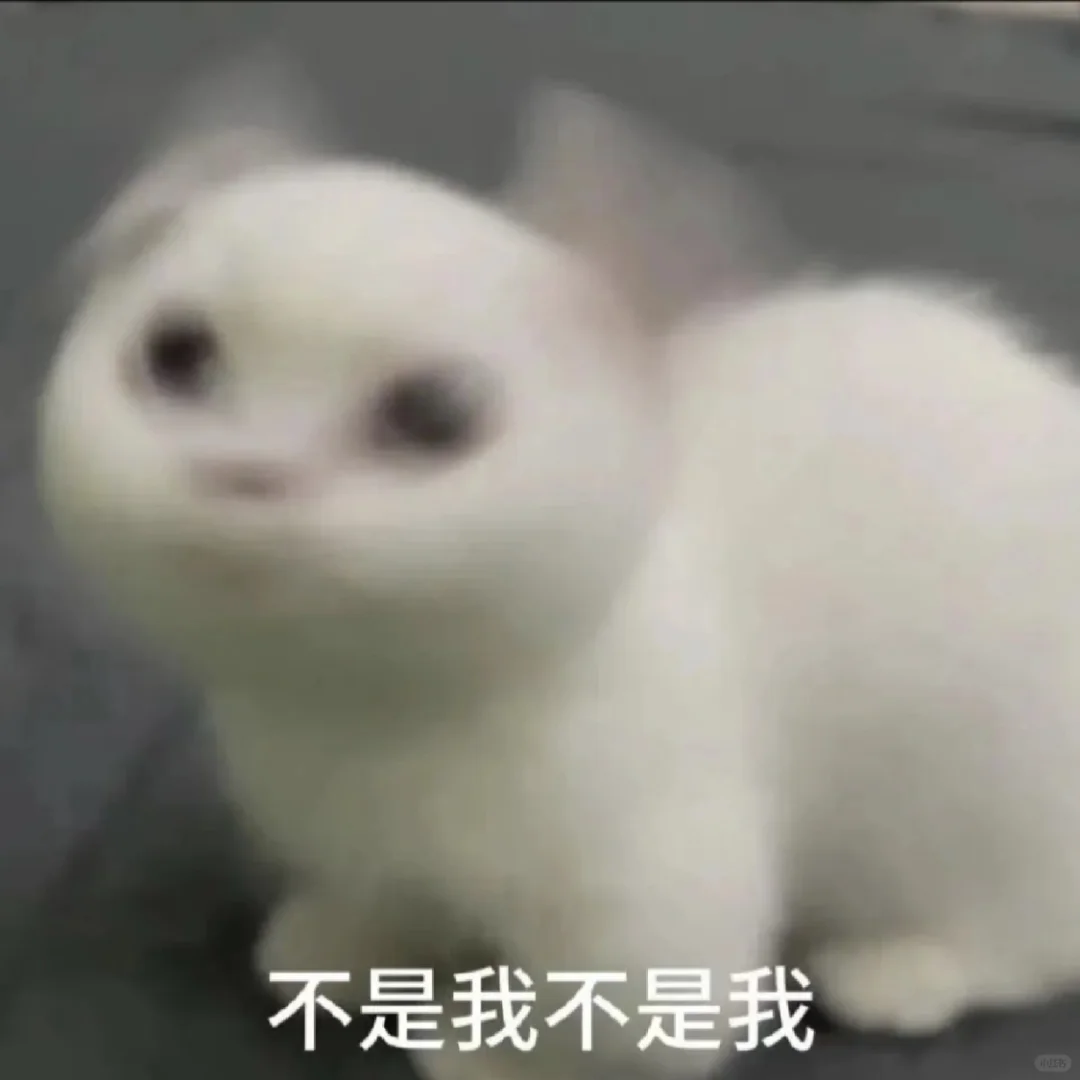 表情包｜密码的